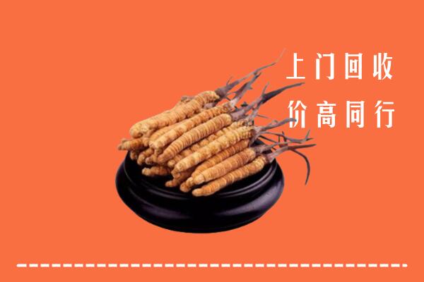 收购行情：重庆渝中区冬虫夏草回收多少钱每克